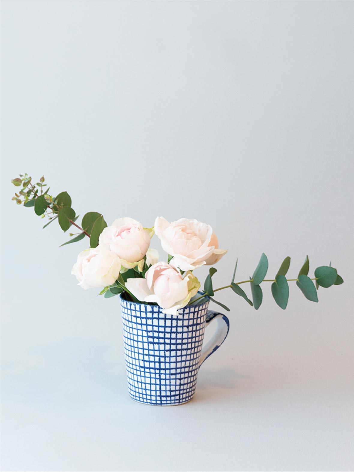 Two Faces of a Flower – Tonkachi スペシャルサイト