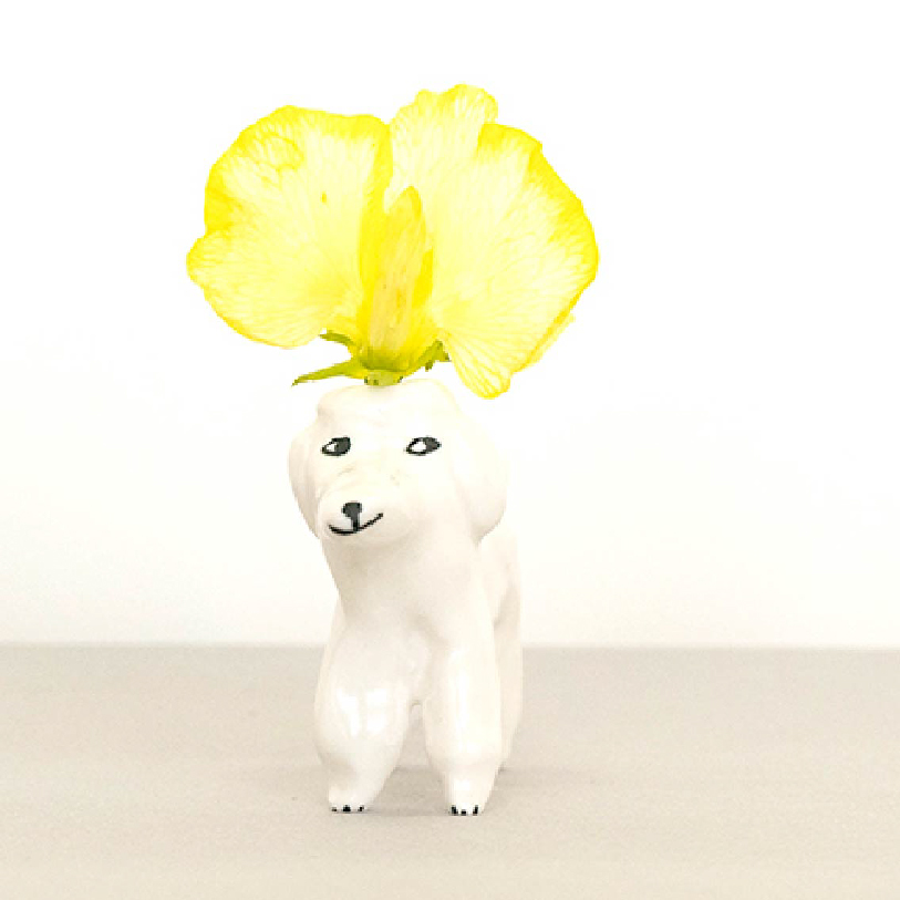 Flower to the Dogs! – Tonkachi スペシャルサイト