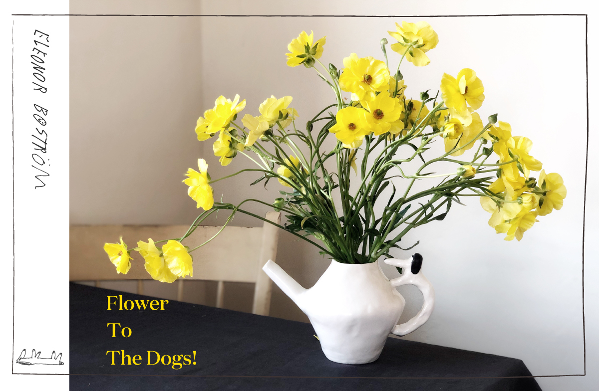 Flower to the Dogs! – Tonkachi スペシャルサイト