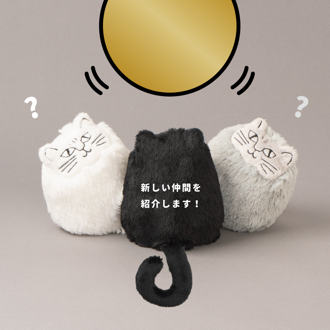 くろごまさん」がやってきた！ - TONKACHI,LTD.／株式会社トンカチ