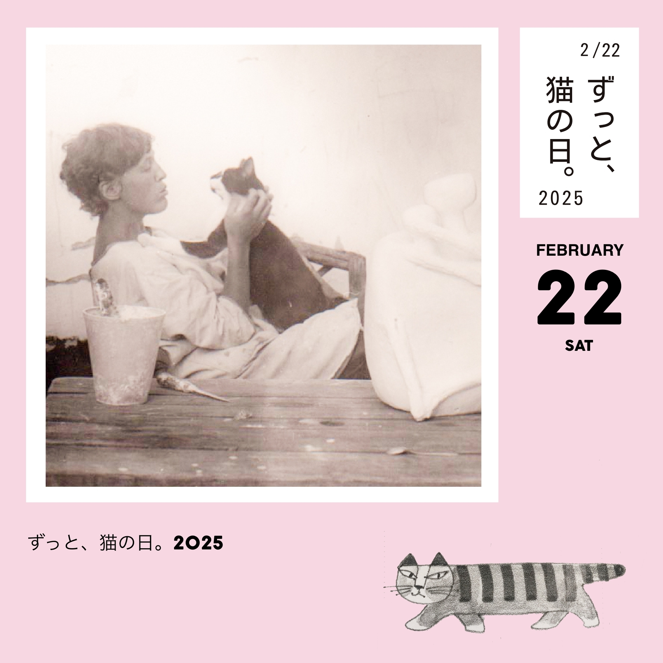 ずっと、猫の日。2025 - TONKACHI,LTD.／株式会社トンカチ