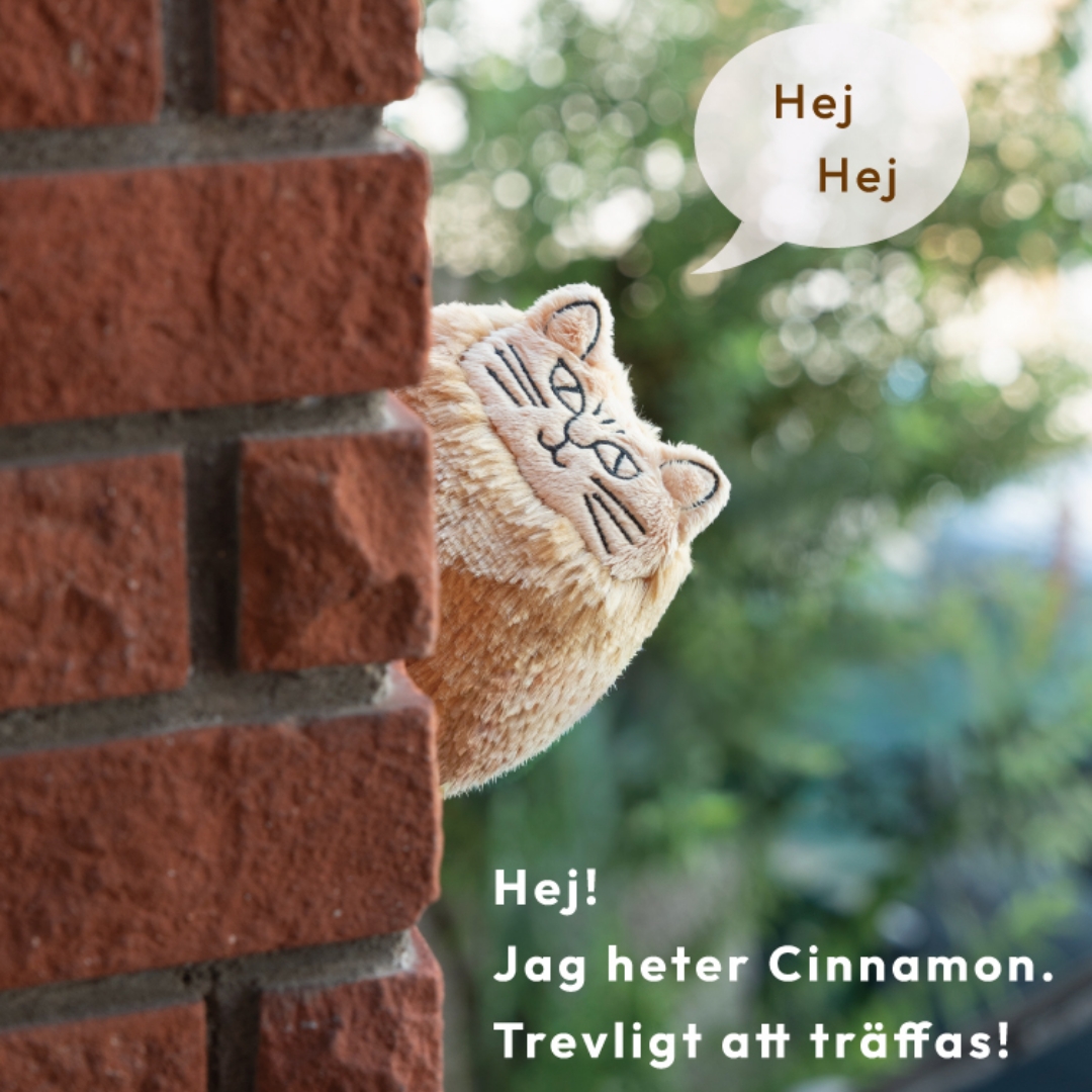 すりすりしたい！リサ・ラーソン！シナモン連れて帰ってきたよ